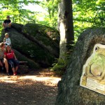 Wo befindet sich der magische Kristall des Hirschkönigs Farok? Kinder und Eltern können ihn auf dem Rundgang wiederfinden!