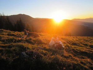 Sonnenaufgangswanderung Hirschalm 2013